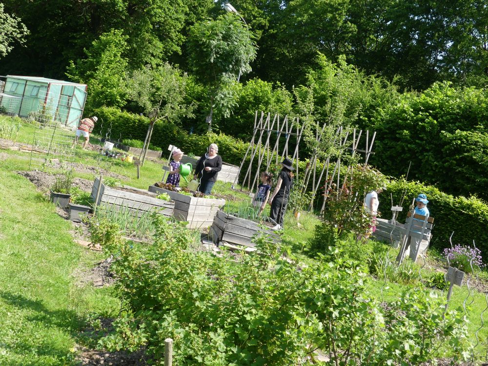 Gemeinschaftsgarten 2023