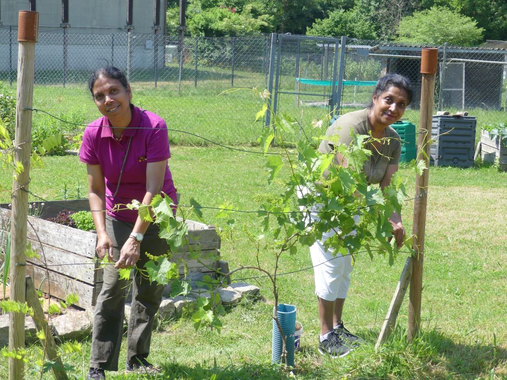 Gemeinschaftsgarten 2023
